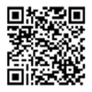 Vision Placidia Akurdi QR Code Image